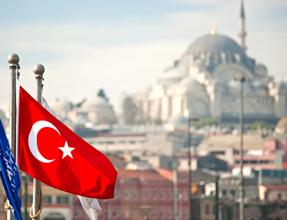 Turkiye decided to transfer the shares of 12 companies held by its treasury to the Turkiye Wealth Fund. Shutterstock