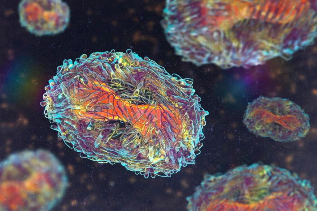 An illustration of mpox virus particles. (Reuters)