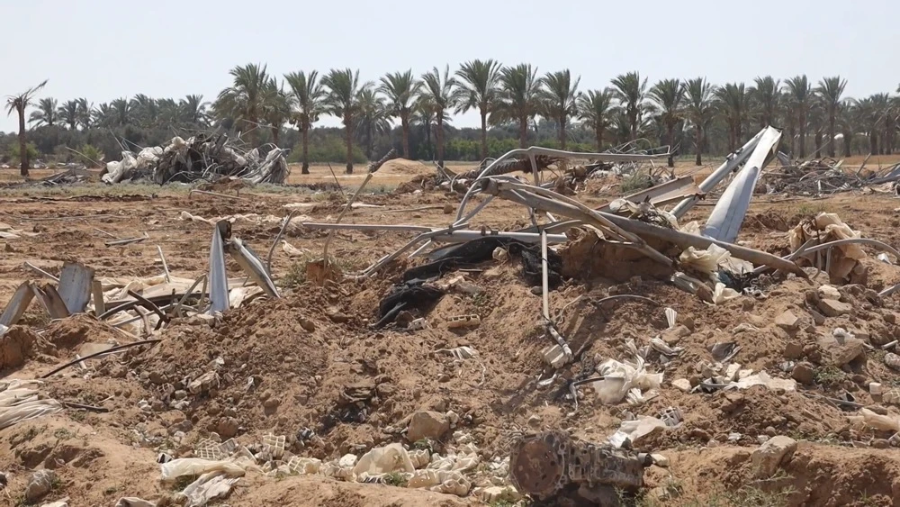 The conflict between Israel and the Palestinian militant group Hamas has all but destroyed Gaza’s agrifood system. (FAO)