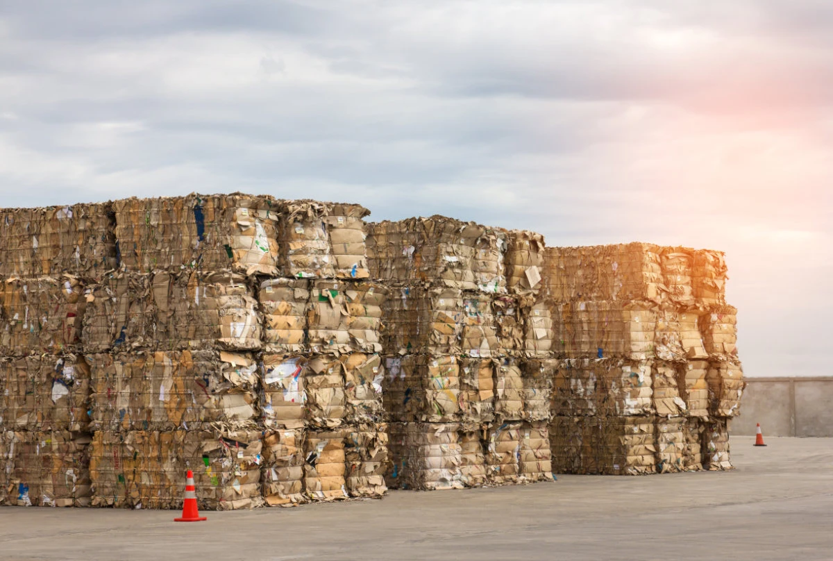 Global paper consumption has increased by 400 percent over the last 40 years, despite the computing revolution. (Shutterstock)