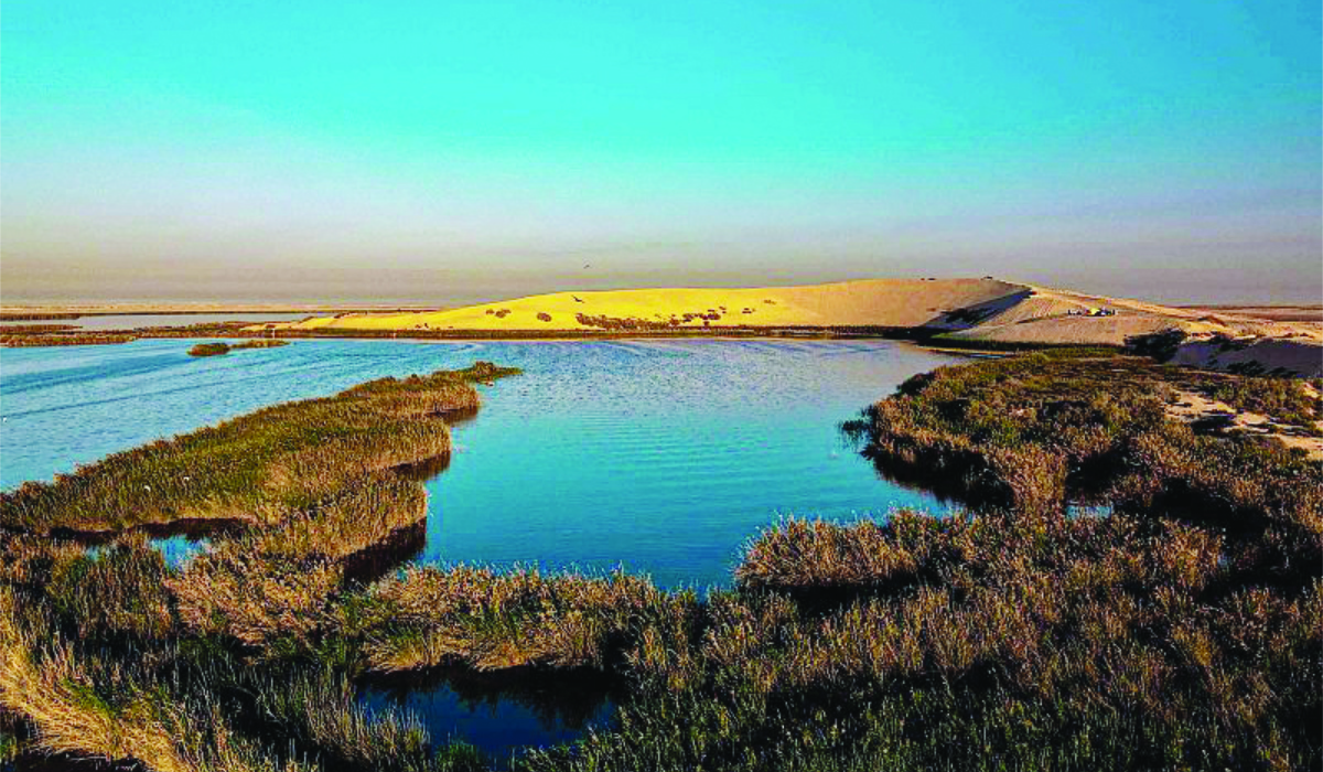 Rolling sand dunes around Al-Asfar lake offer visitors an ideal vantage point to watch the sunset and wildlife. (SPA)