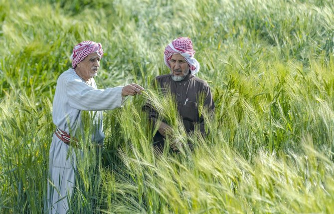 This strategic funding will support a range of agricultural initiatives, including red meat and poultry production, greenhouse farming, fish aquaculture, and cold storage facilities. File