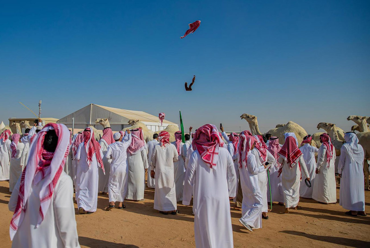 The Camel Avenue Festival is currently taking place in Taif. (SPA)