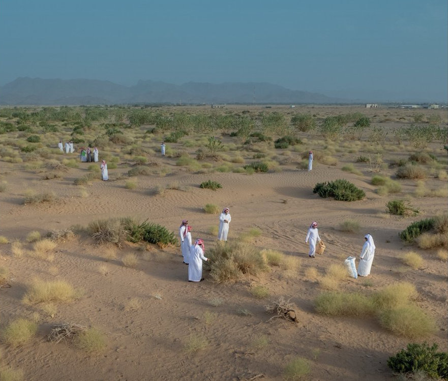 The Saudi Green Initiative aims to address desertification via afforestation, reforestation, and sustainable agriculture. (NCVC)