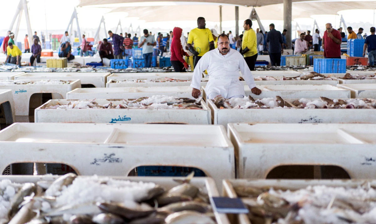 Established in 1947, the Qatif Central Fish Market was spearheaded by a local group of experienced individuals led by the late Hassan Kofair. (Supplied)
