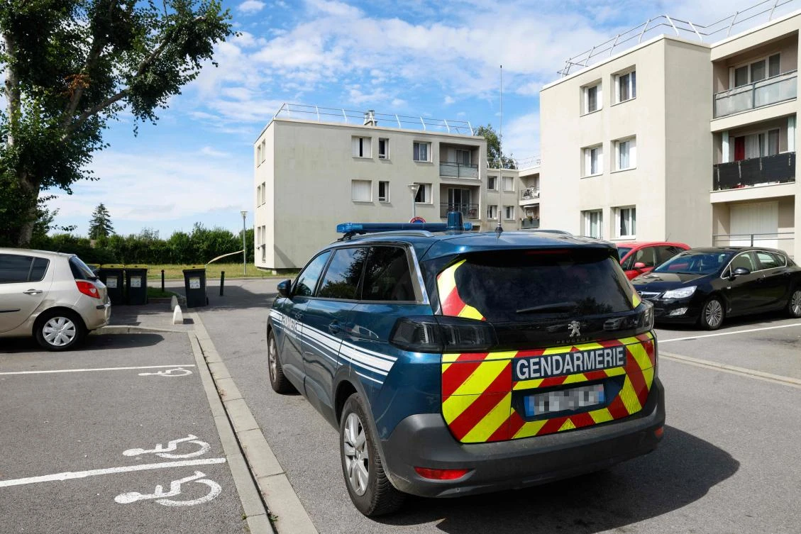 French man fatally stabs partner, two young children