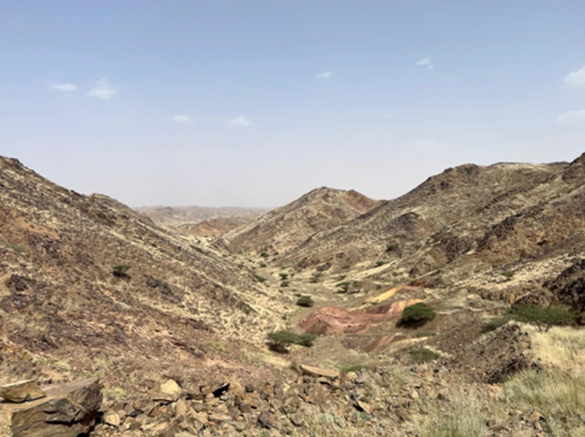 View of Qatan exploration licence, Saudi Arabia, June 2024. Power Metal Resources