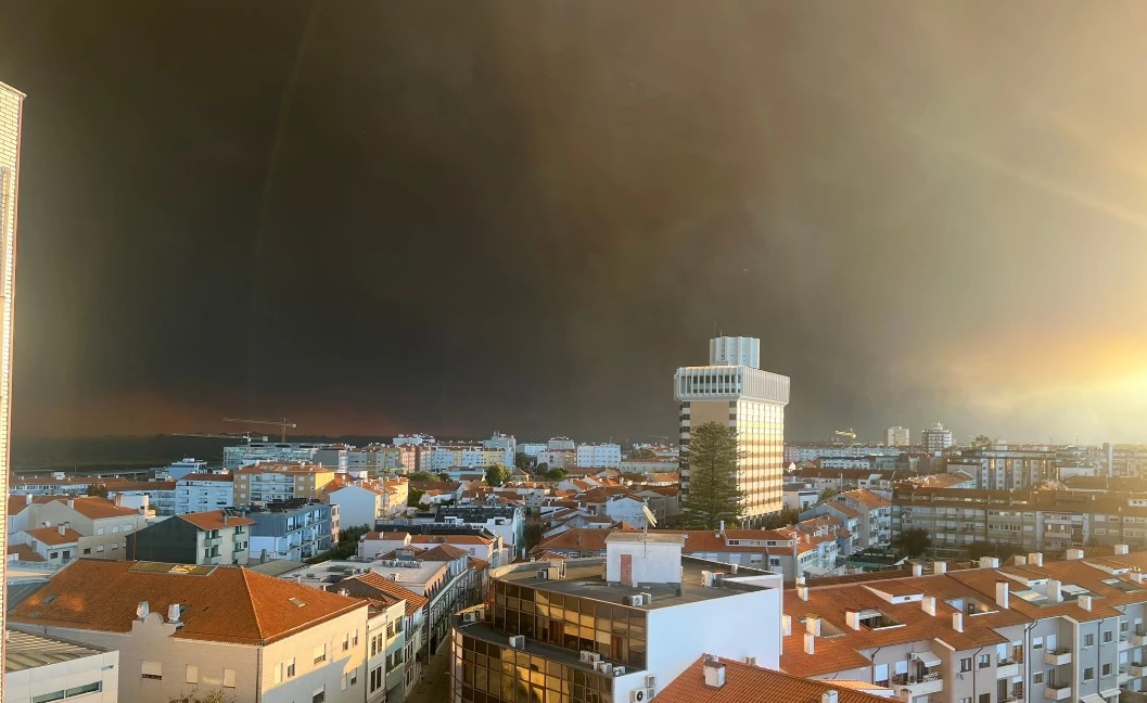 Forest fires halted traffic on motorways in the Aveiro region of northern Portugal Monday as homes were engulfed by a string of blazes that broke out over the weekend, local authorities said. (X/@Mariastar23)