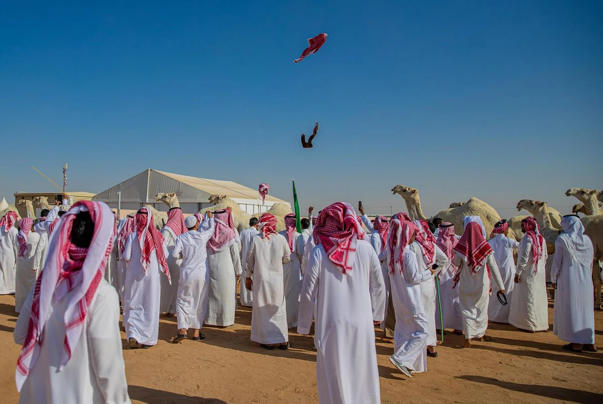Camel festivals attract investors, promote growth