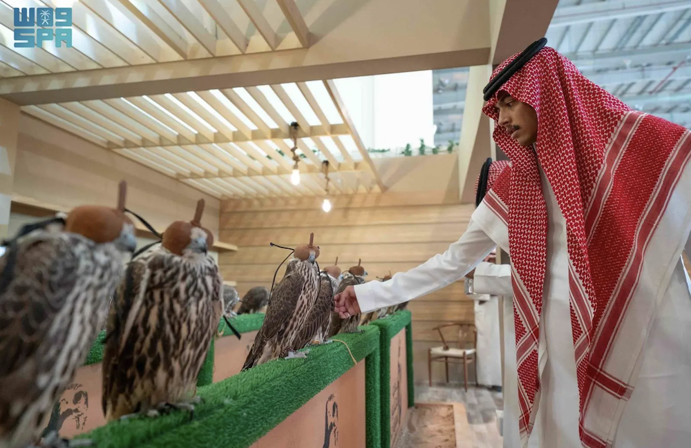 Falcons exhibition opens its door for visitors at Malham