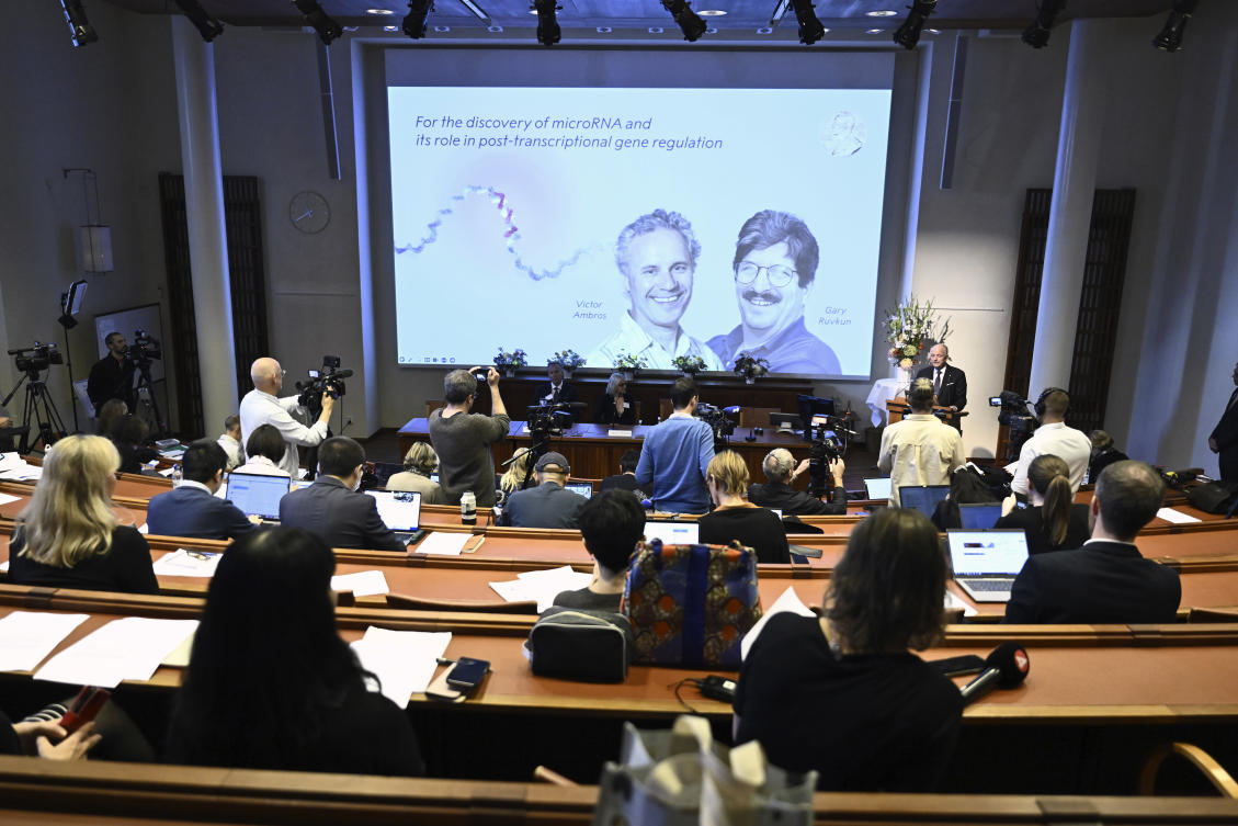 Nobel Prize in medicine honors two Americans for discovery of microRNA