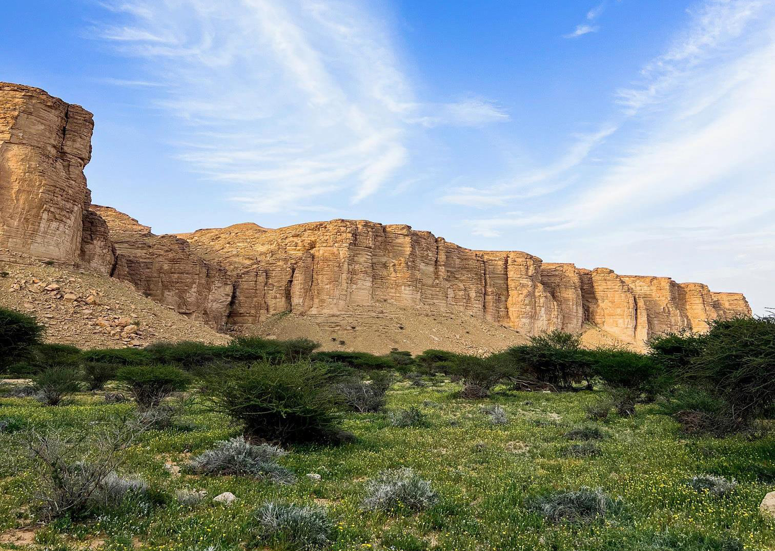 Ibex Reserve becomes first Saudi Green List protected area