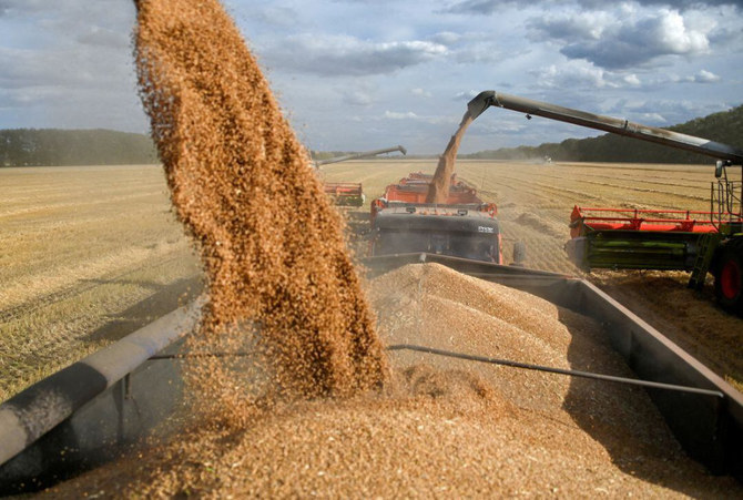 Algeria’s purchases of Russian grain could reach 3 mln tons in 2024/25 season