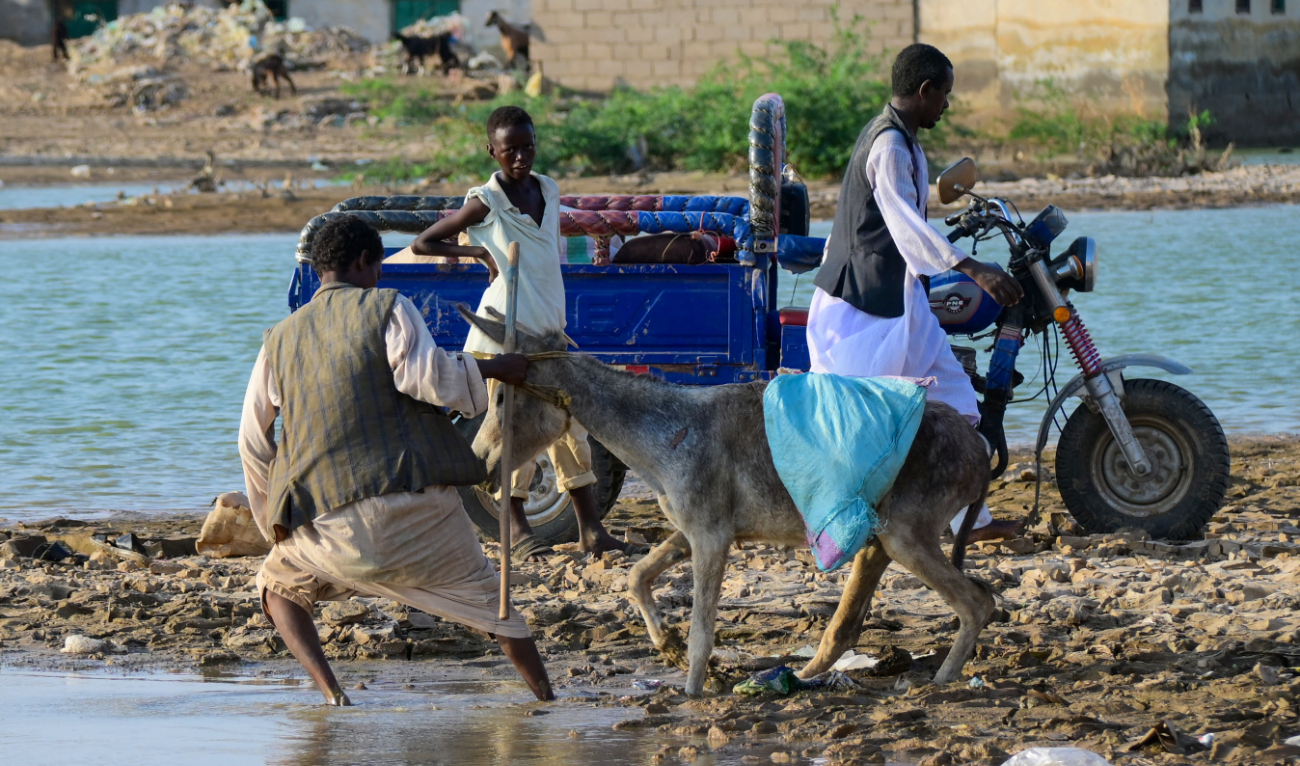 A Sudanese man pulls his donkey accross a flooded street in Tokar in the Read Sea State following recent heavy flooding in eastern Sudan, on October 3, 2024. (AFP/File)