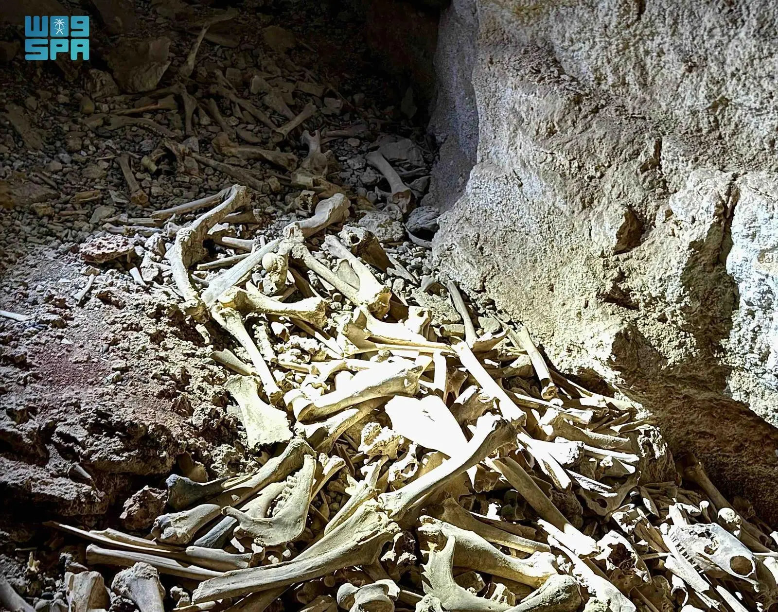 Caves and sinkholes offer a glimpse into the past, often revealing the secrets of humanity and unique geological formations. (SPA)