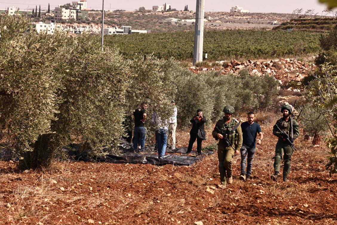 Israeli settlers attacked a group of foreign volunteers, including several Americans, in July 2024 while they were helping Palestinian farmers in an olive grove near the Palestinian village of Qusra in escalating violence in West Bank. (AFP)
