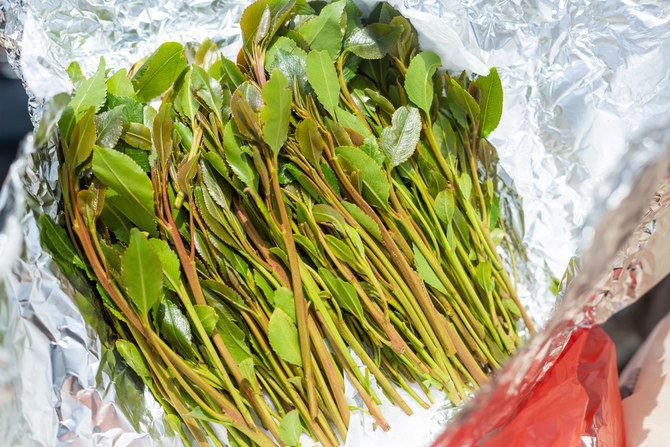 Authorities seize 692 kg of qat, arrest offenders in Jazan, Asir