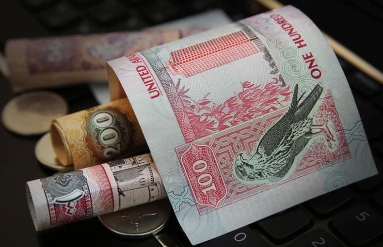 UAE banks extend $22bn in loans to SMEs in H1 of 2024: CBUAE
