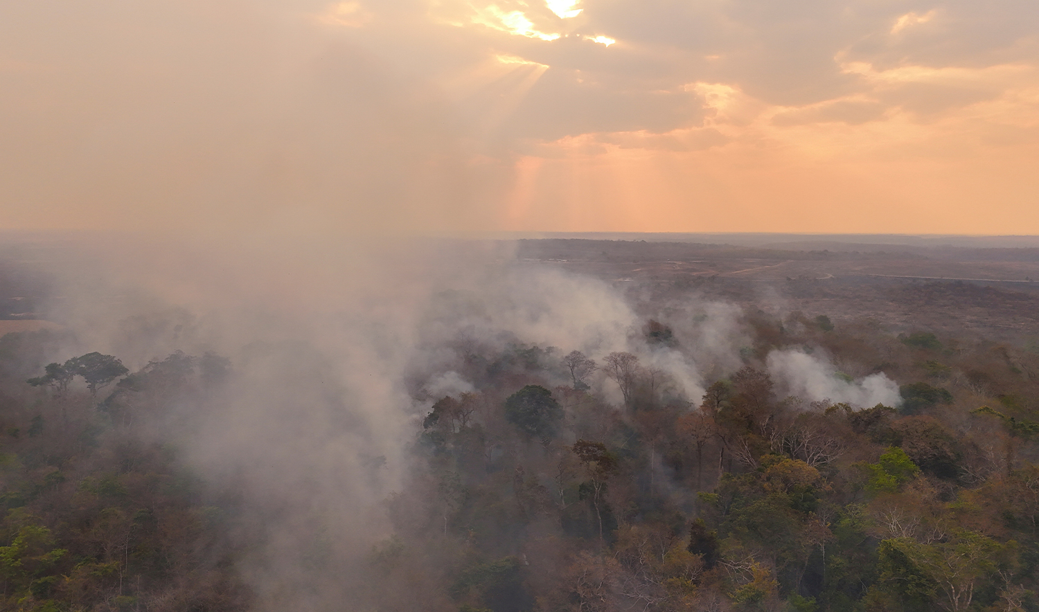 A drone view of smoke from burning vegetation rising in a rainforest at the municipality of Bonfim, state of Roraima, Brazil on February 28, 2024. (REUTERS/File_