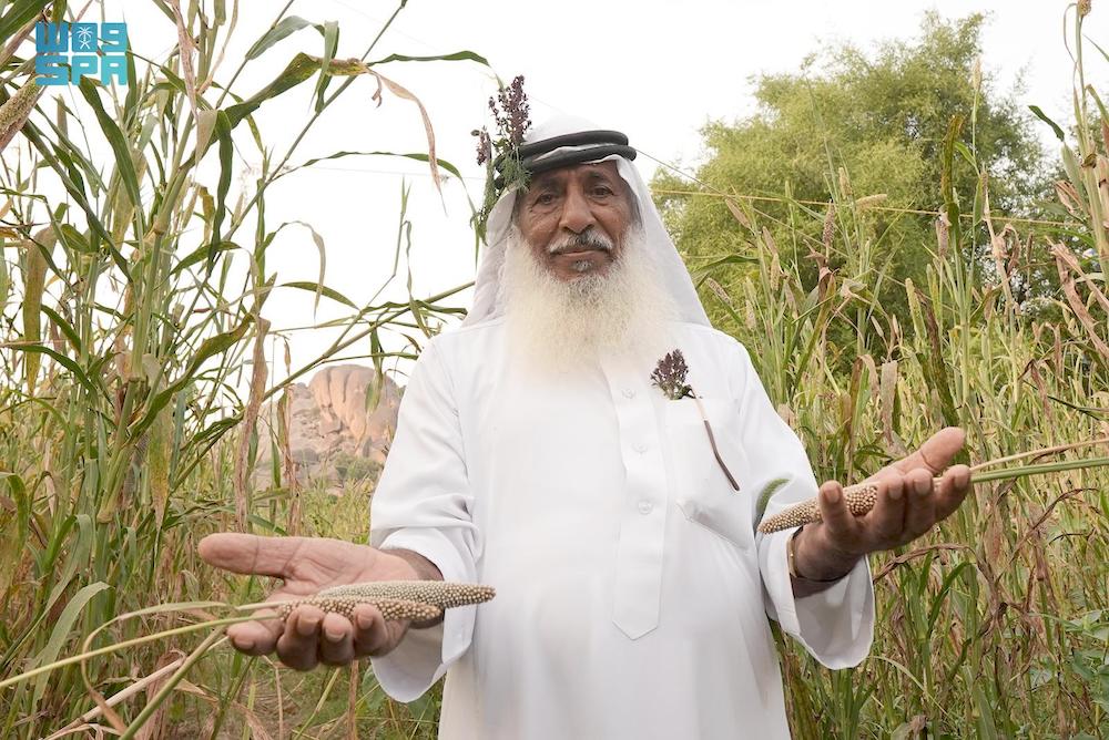 Hussein Al-Ghamdi, an 80-year-old farmer from Al-Makhwah governorate in the Baha region, has dedicated his life to preserving the ancient tradition of millet cultivation in the Shada Mountains. (SPA)