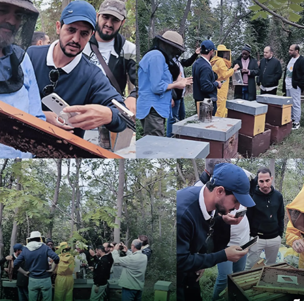 They emphasized the importance of implementing these Italian innovations in Saudi Arabia’s beekeeping sector while strengthening bilateral knowledge exchange. (SPA)