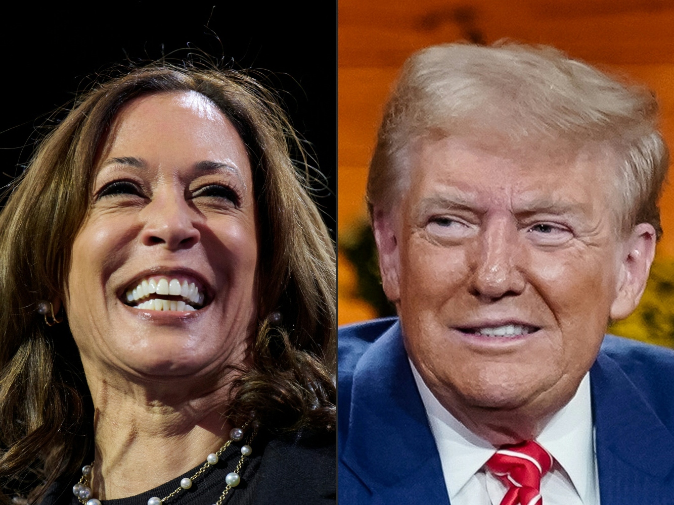 Election time provides the perfect opportunity to sharpen ideological differences between parties and candidates (File/AFP)