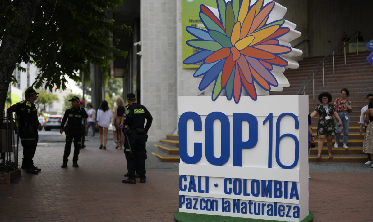Police stand guard in front of a hotel ahead of the COP16 UN biodiversity conference, in Cali, Colombia, Oct. 19, 2024. (AP)