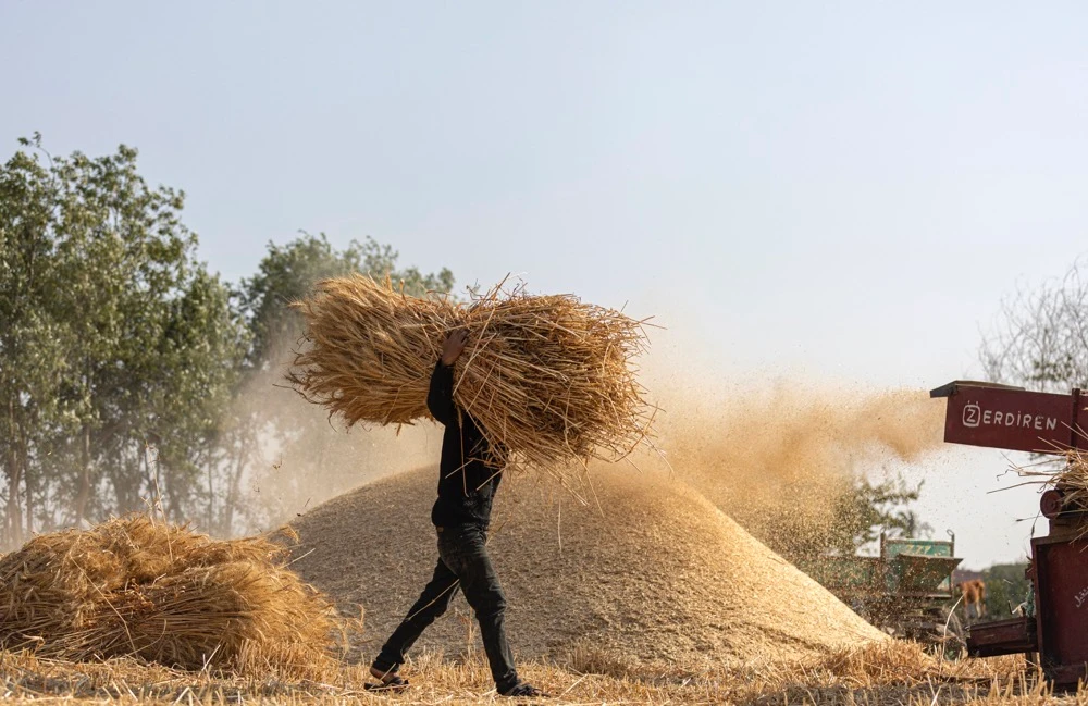 Egypt’s plan to save some dough: cut the wheat in bread