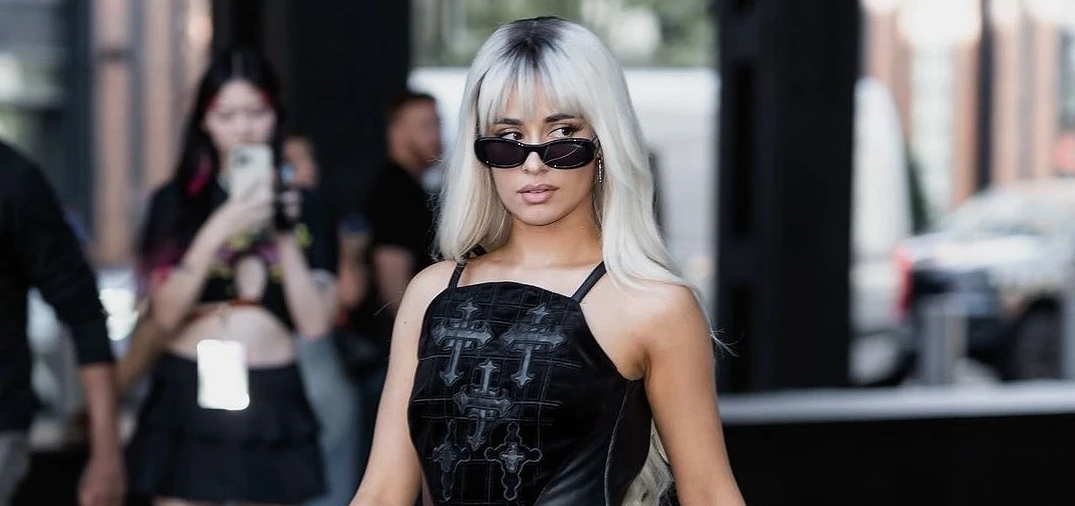 Camila Cabello showed off Andrea Wazen heels this week. (Instagram)