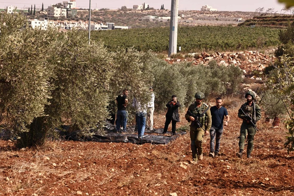Israeli settlers attacked a group of foreign volunteers, including several Americans, in July 2024 while they were helping Palestinian farmers in an olive grove near the Palestinian village of Qusra in escalating violence in West Bank. (AFP)