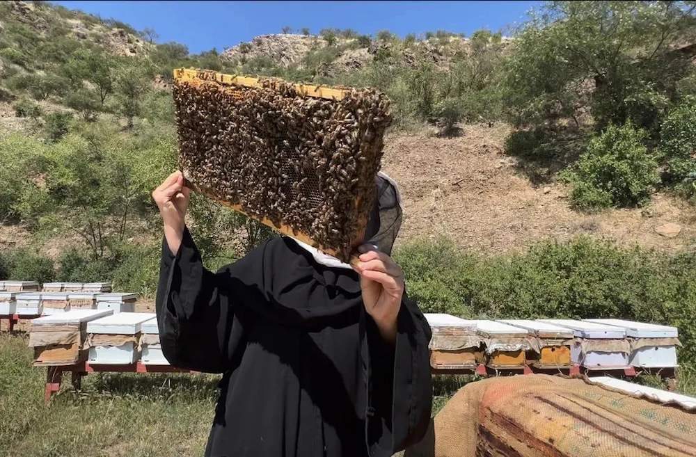 Since launching in 2020, Reef Saudi has enabled 57,719 rural women to become eligible for support across multiple sectors. (SPA)