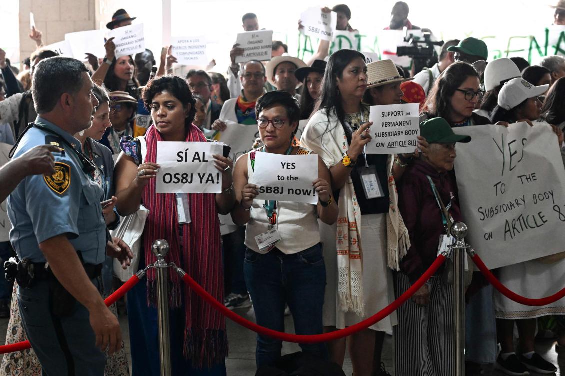 Indigenous people from different countries take part in a protest against the blocking of the subsidiary body on Article 8J at the blue zone of the COP16 summit in Cali, Colombia, on October 30, 2024. (AFP)