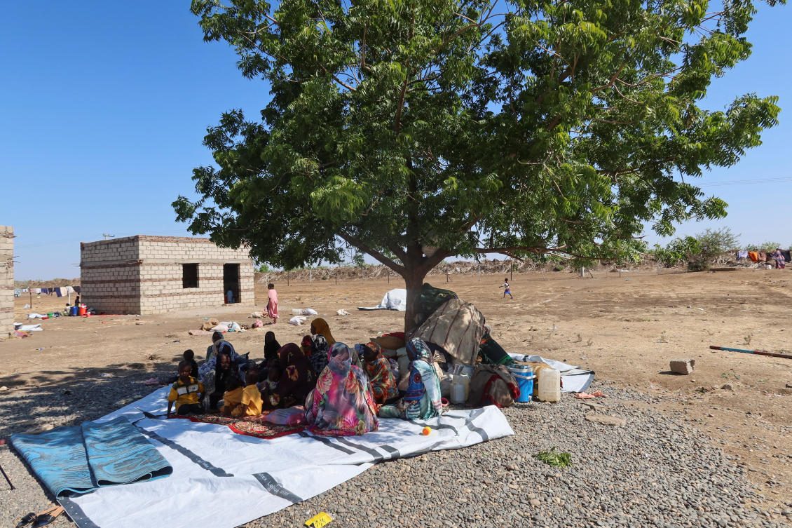 Sudanese people, displaced from Gezira state due to RSF violence, sit under a tree in New Halfa, Kassala state, Sudan, November 3, 2024. (Reuters)