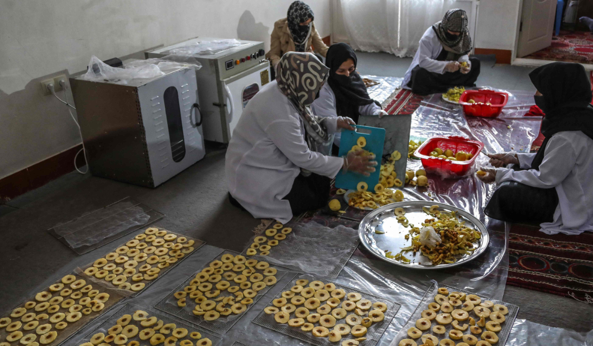 Afghan women prepare air fryer apple chips at a factory in Herat on November 17, 2024. (AFP)