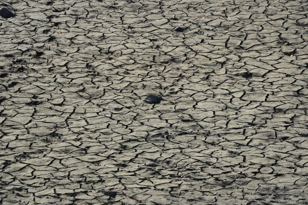 Lower than normal water levels at the Wanaque Reservoir in Wanaque, New Jersey, Nov. 15, 2024. (AFP)
