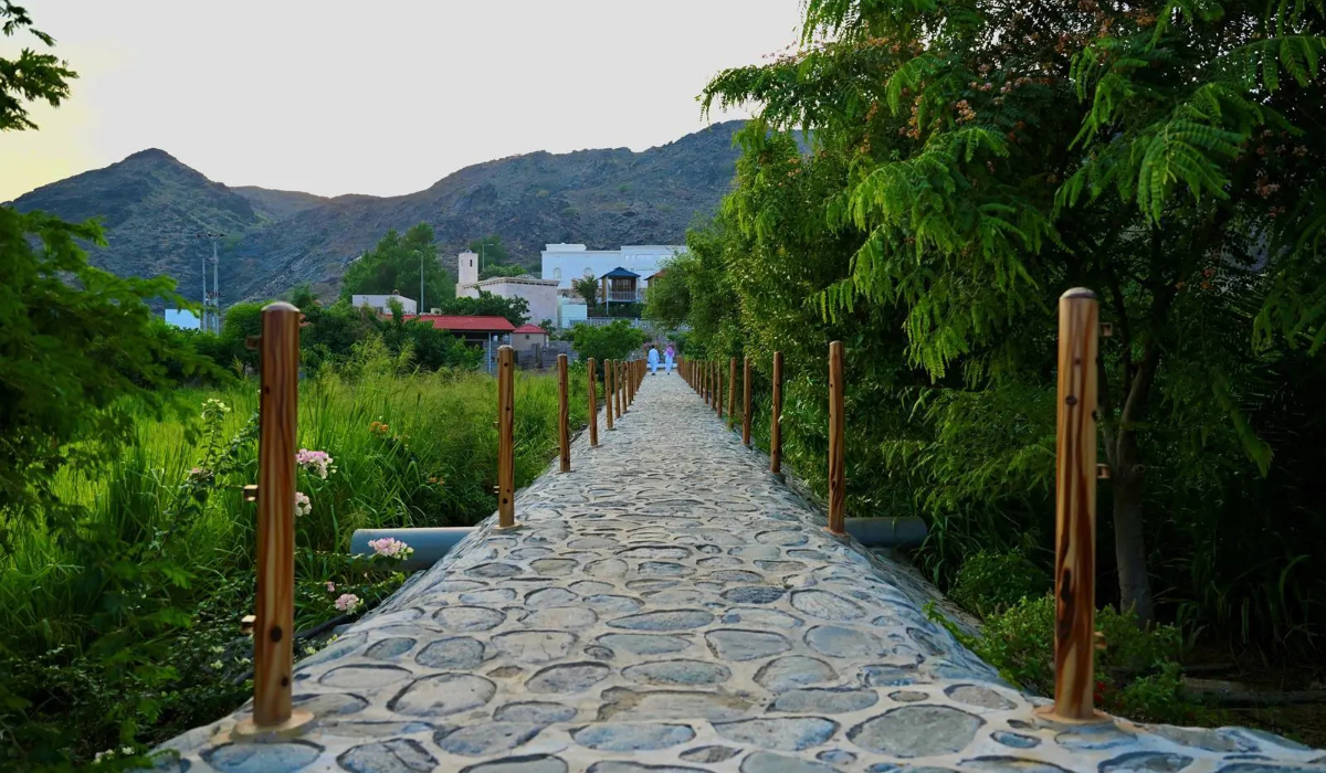 The farms are committed to sustainability and use eco-friendly practices to protect the environment. (SPA)