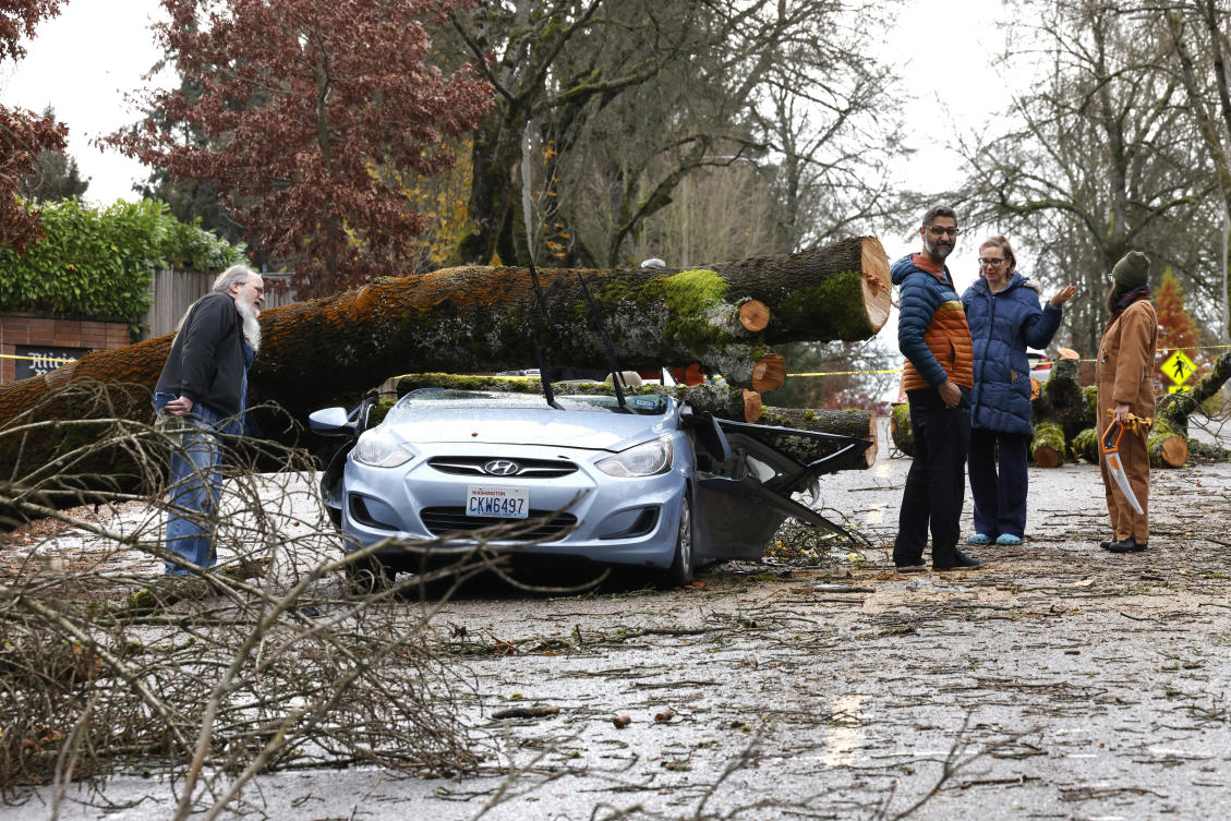 Neighbors look at the remains of small car that had a tree fall on it in the aftermath of a ‘bomb cyclone’ in Seattle. (The Seattle Times/AP)