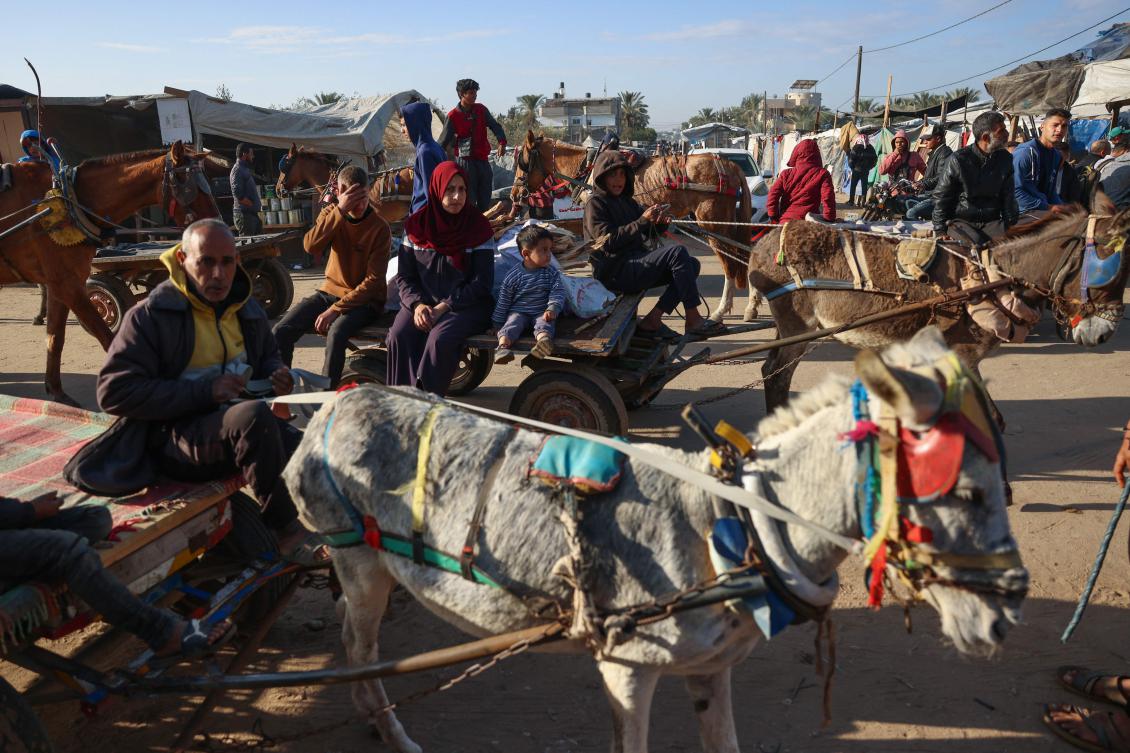 Displaced people use animal-drawn carts for transportation in al-Zawayda in the central Gaza Strip on November 20, 2024, as the war between Israel and the Palestinian Hamas movement continues in the besieged territory.(AFP)