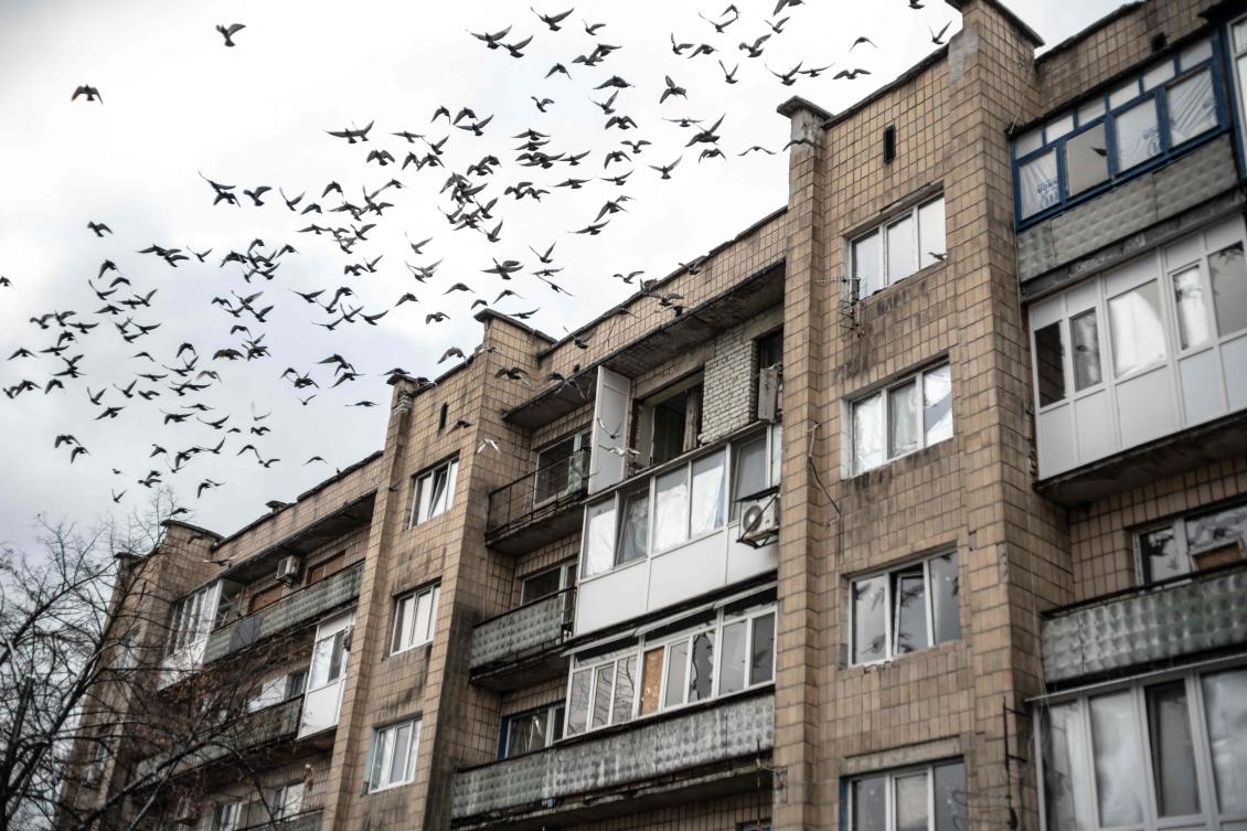 This photograph shows pigeons flying away from a damaged building in Pokrovsk, Donetsk region, on November 25, 2024. (AFP)