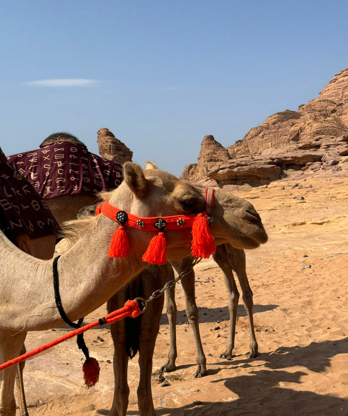Review: A visit to AlUla’s ancient kingdom ‘Wadi Al-Naam’