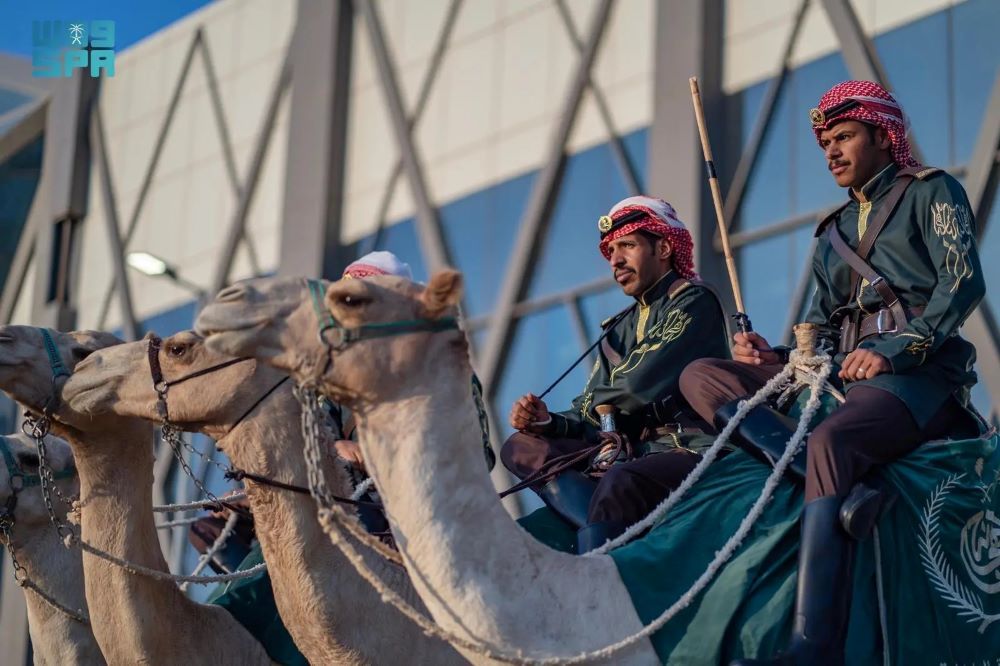 Saudi Culture Ministry selects 20 research proposals for camel studies grant