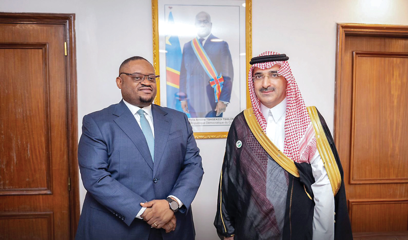 The pair discussed ways to enhance economic cooperation to develop vital sectors in Congo. (SFD)