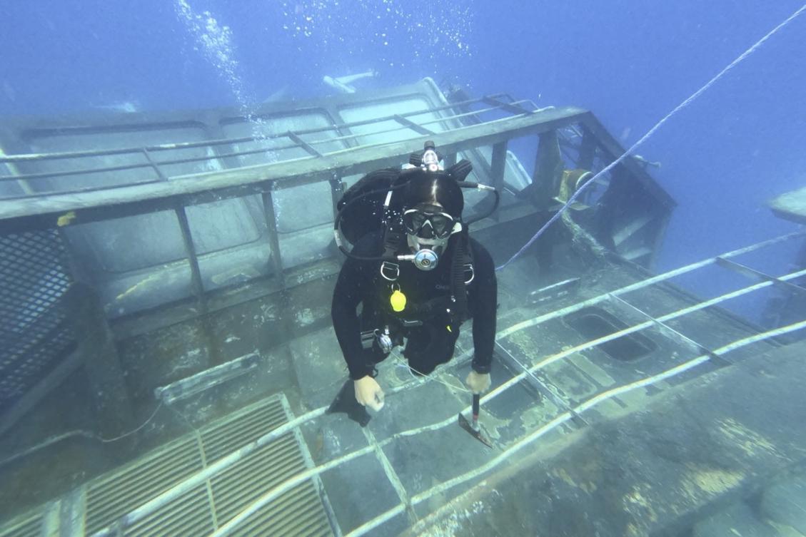 A diver surveys the HMNZS Manawanui on the southern coast of Upulo, Samoa, after the Manawanui ran aground and sank on Oct. 6. (New Zealand Defense Force via AP)