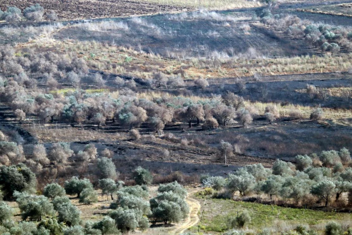 Since the Israel-Hezbollah war started on September 23, agricultural regions in Lebanon have been caught in the crossfire. (File/AFP)