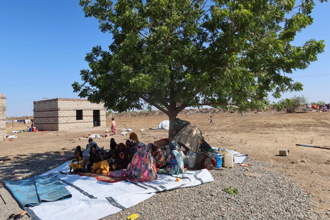 Sudanese people, displaced from Gezira state due to RSF violence, sit under a tree in New Halfa, Kassala state, Sudan, November 3, 2024. (Reuters)