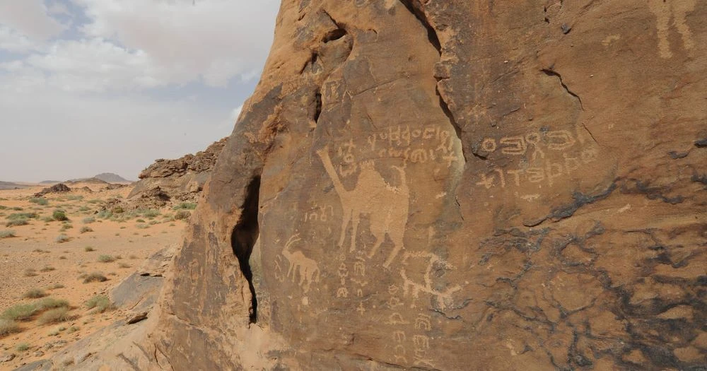 Rock art in the Hail Region of Saudi Arabia. (UNESCO)