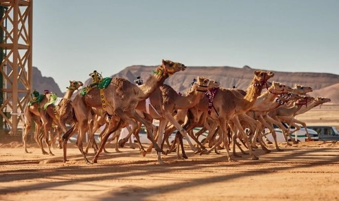 The International Camel Racing Federation’s 4th General Assembly will take place in Olympia, Greece on Nov. 23-26. (File)