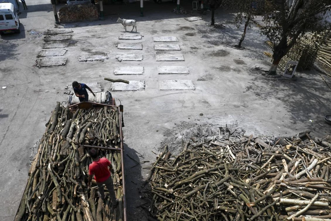 Labourers unload wood from a truck to be used for funeral pyres at a crematorium in New Delhi on May 11, 2021. (AFP)
