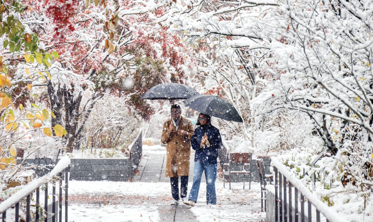 Biggest snowstorm in half century hits Seoul