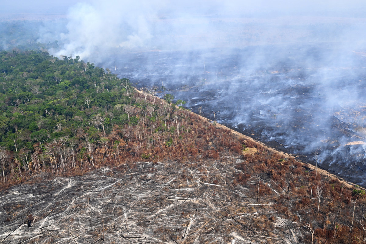 Aerial view of Amazon rainforest being destroyed by wildfire in Labrea, Amazonas state, Brazil, on August 20, 2024. (AFP)